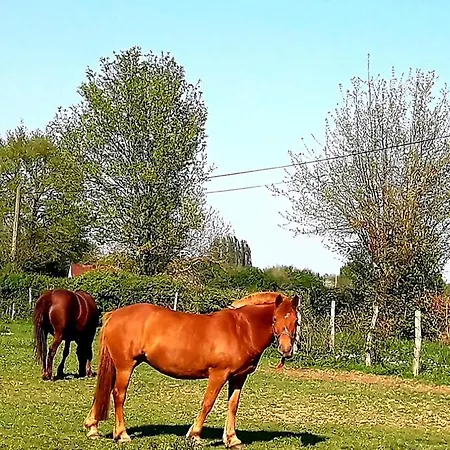 Independant Avec Piscine Couverte Дом отдыха
