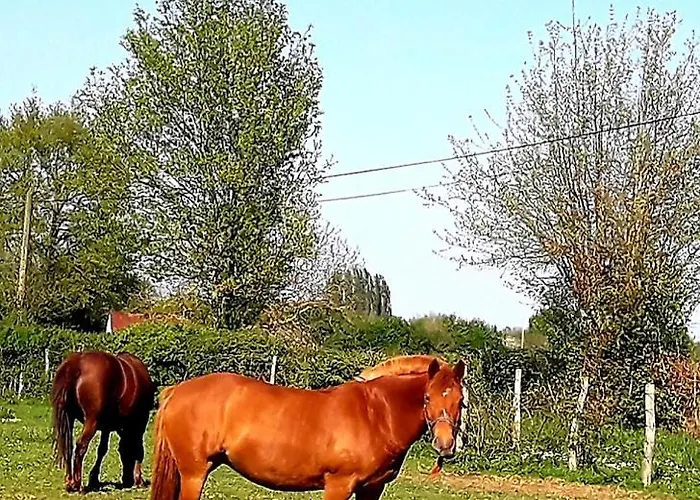 Independant Avec Piscine Couverte Ferienhaus
