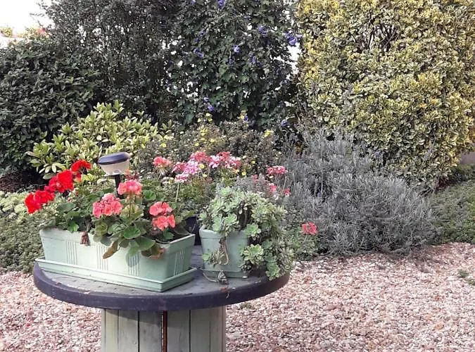 Independant Avec Piscine Couverte * Coulaines